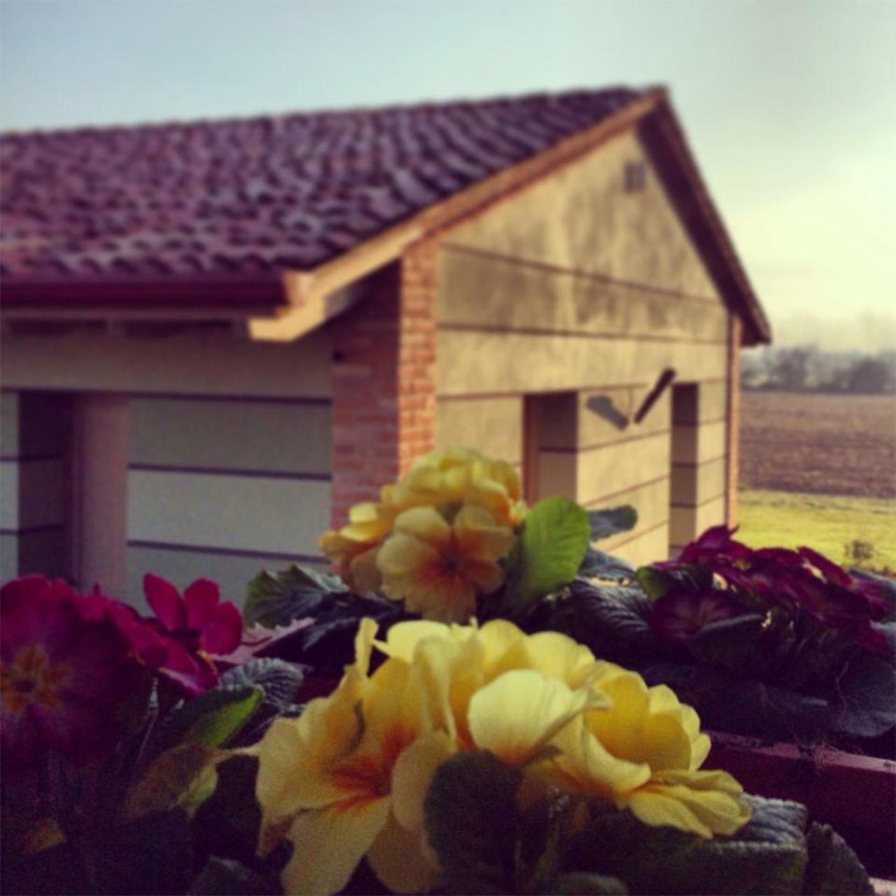 Agriturismo Bassanine Monticelli d'Ongina ภายนอก รูปภาพ