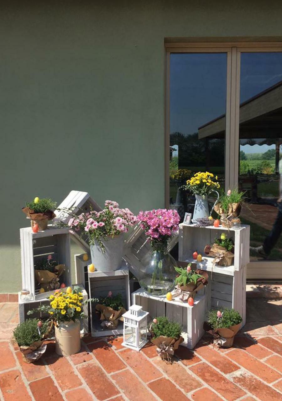 Agriturismo Bassanine Monticelli d'Ongina ภายนอก รูปภาพ