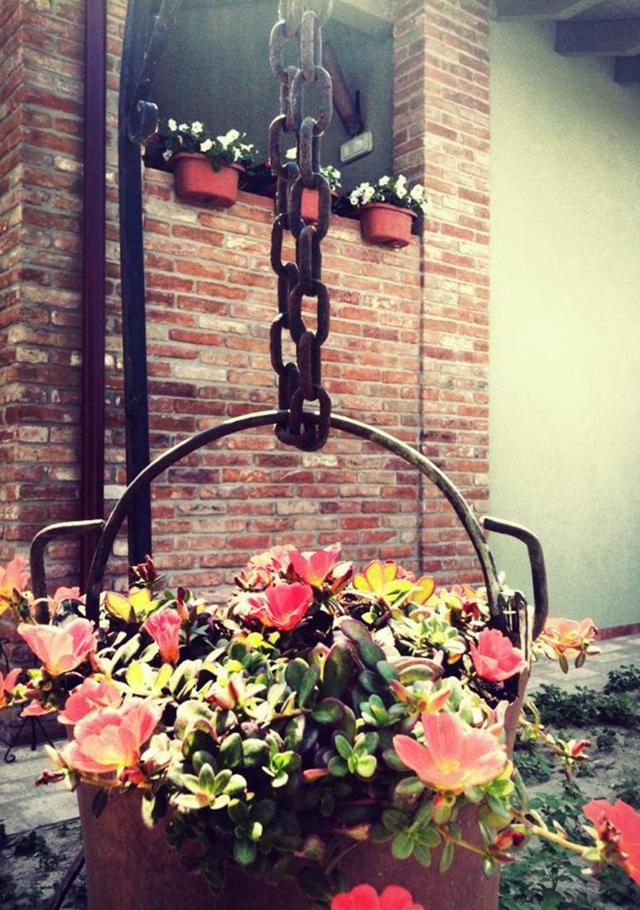 Agriturismo Bassanine Monticelli d'Ongina ภายนอก รูปภาพ
