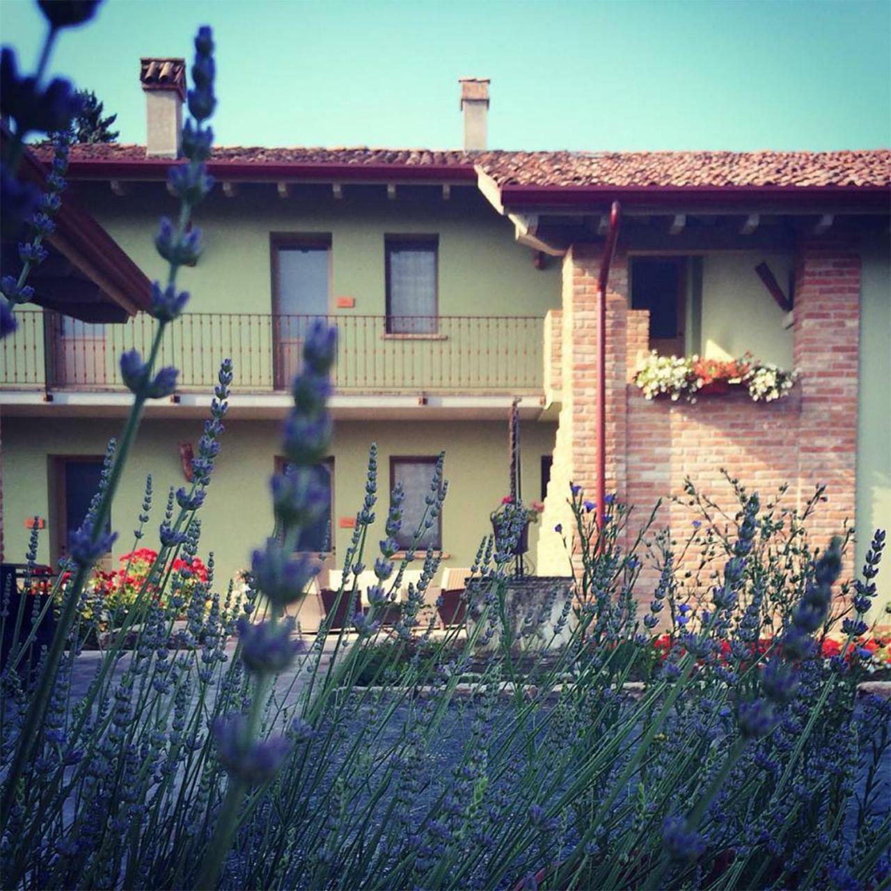 Agriturismo Bassanine Monticelli d'Ongina ภายนอก รูปภาพ