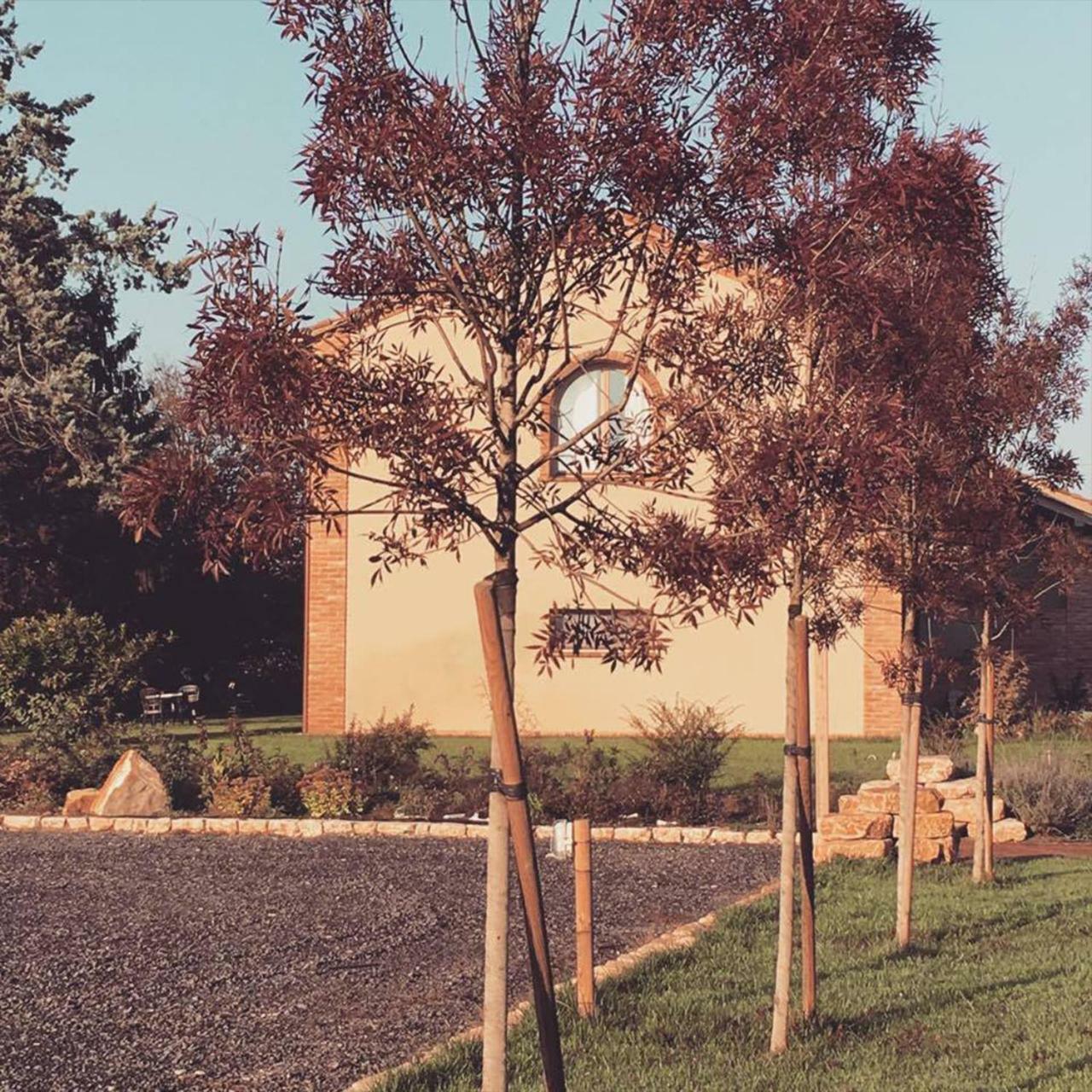 Agriturismo Bassanine Monticelli d'Ongina ภายนอก รูปภาพ